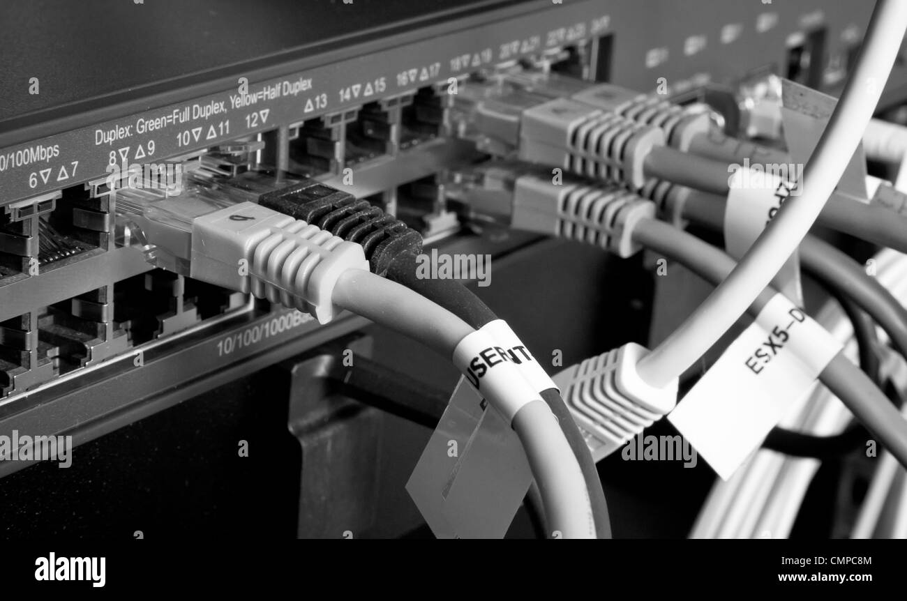 network cables connected to hub Stock Photo Alamy