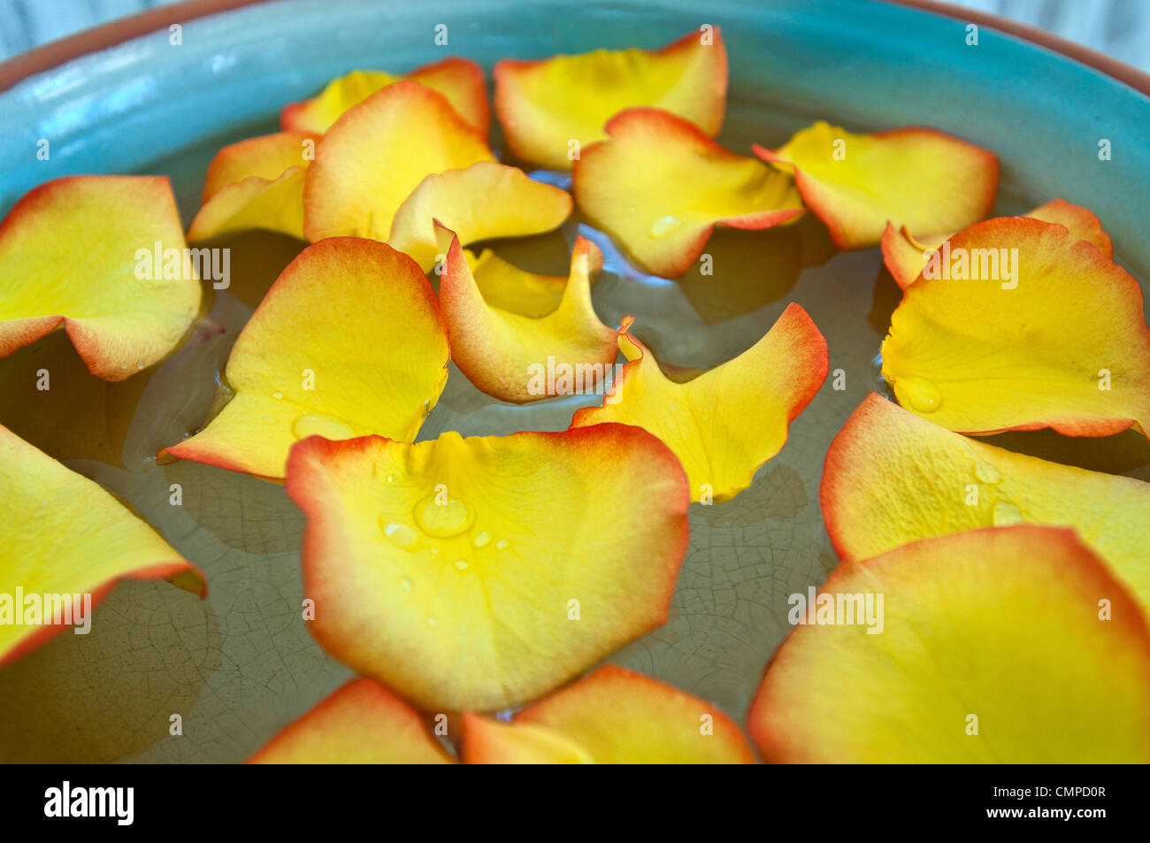 Yellow flower petals in bowl water Stock Photo