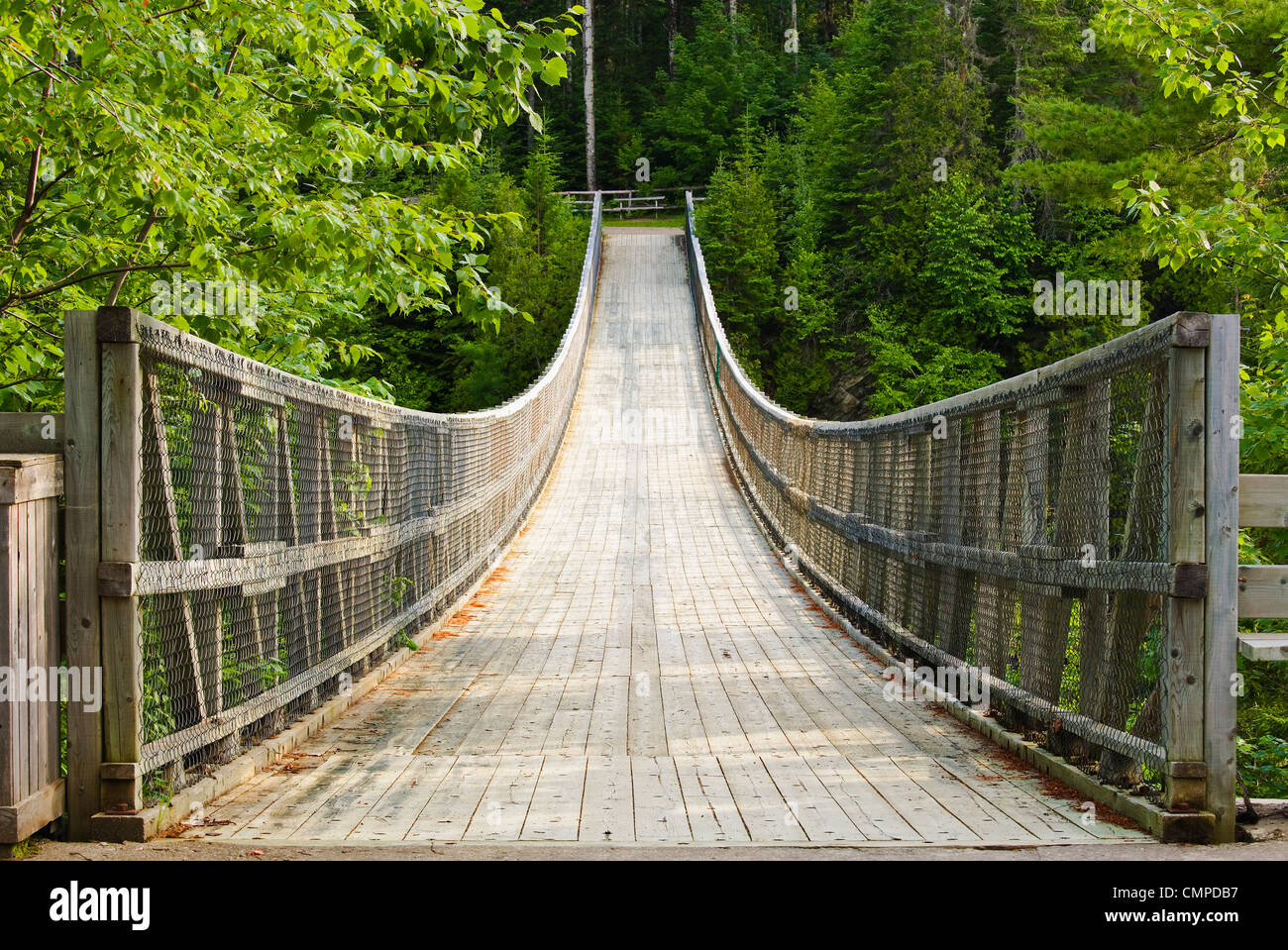 Suspension bridge over Rimouski River, Hell's Gate Canyon, BasSaintLaurent region, Saint
