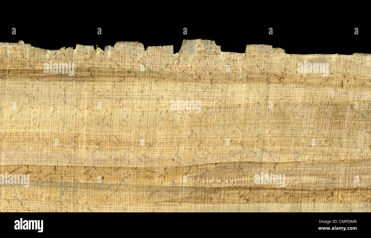 papyrus paper rough texture with fiber pattern, wrinkles, loose fibers and dust, edge shown against black background Stock Photo