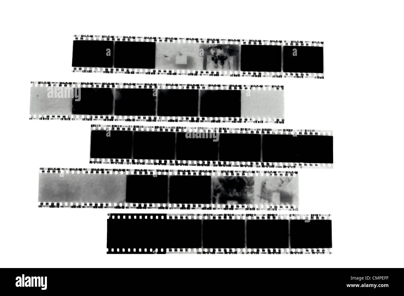 Negative film isolated on white Stock Photo Alamy