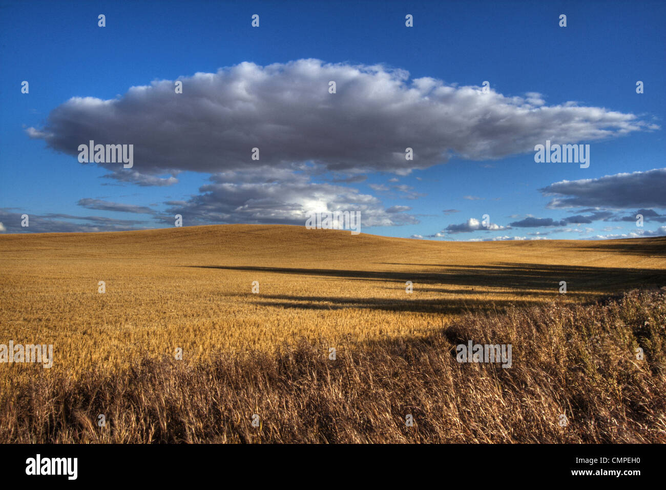 Clouds over Harvested Wheat Field, near Bon Accord, Alberta Stock Photo