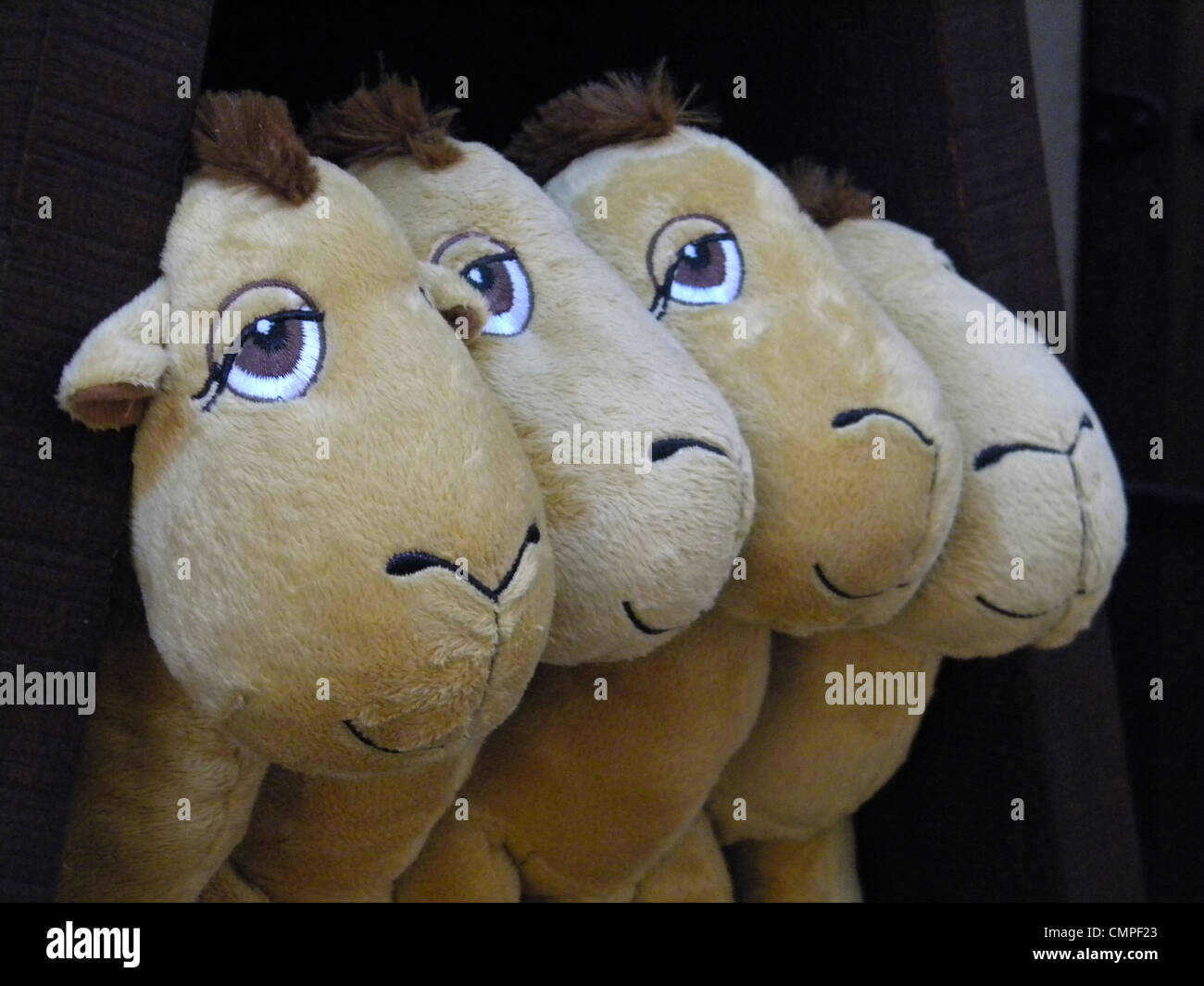Soft Toy Smiling Camels, Dubai Stock Photo Alamy