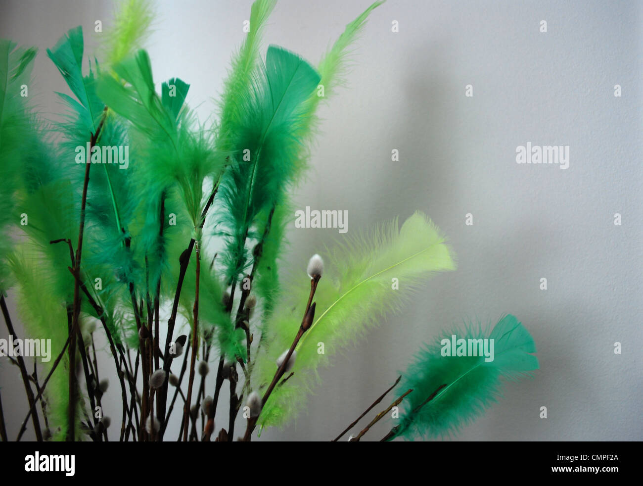 Feathering Spring Feather spring hi-res stock photography and images - Alamy