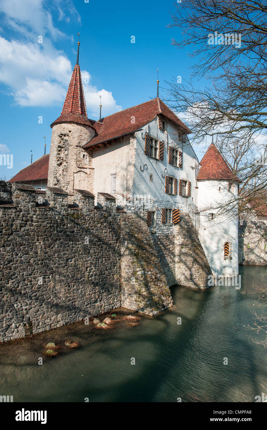 Hallwyl Water Castle with moat, Seengen, Aargau, Switzerland, Europe Stock Photo