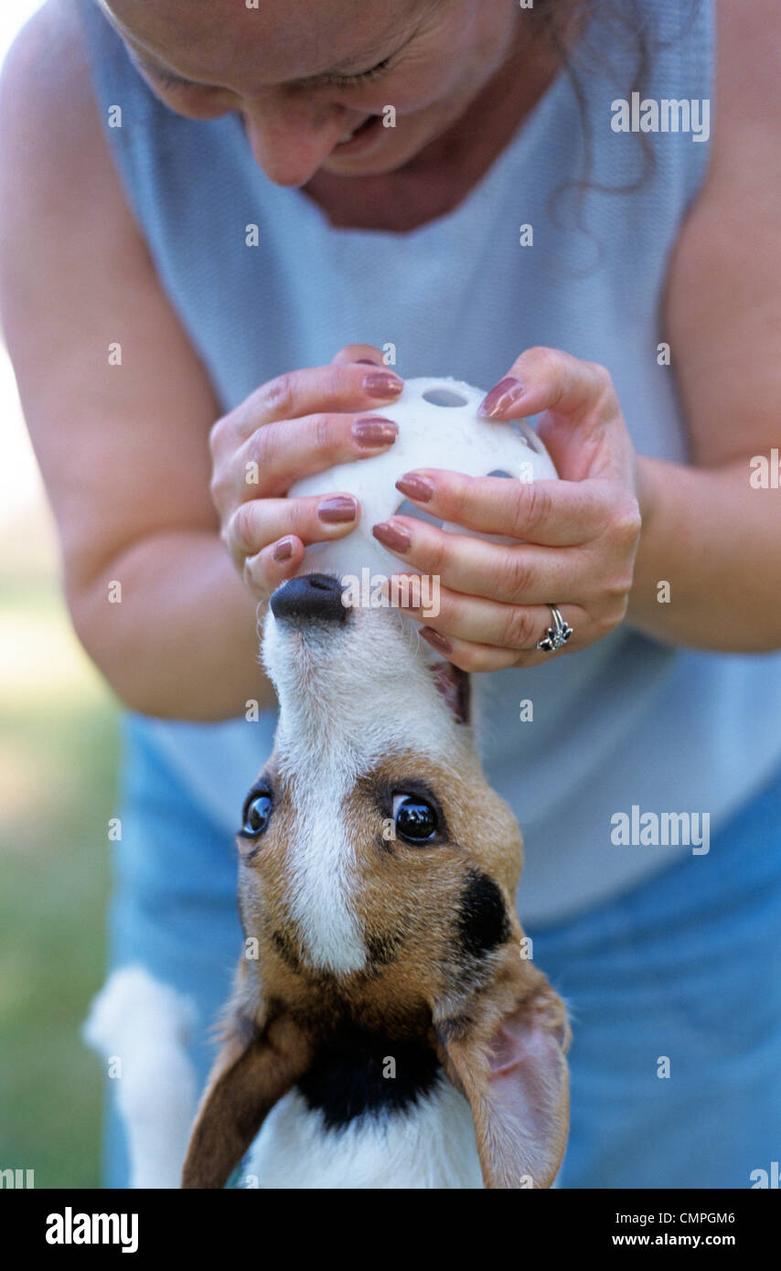 images Wuffle Meaning alamy