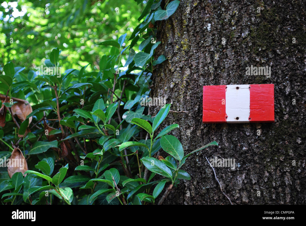 Red and white mountain hiking trail sign on a tree Stock Photo