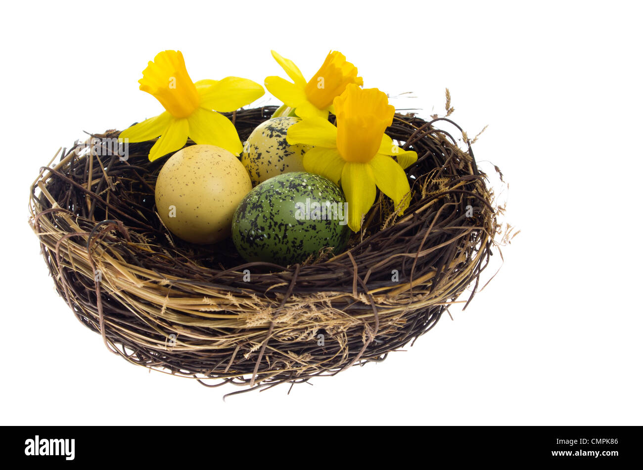 Daffodils and dyed easter eggs in a birds nest Stock Photo - Alamy