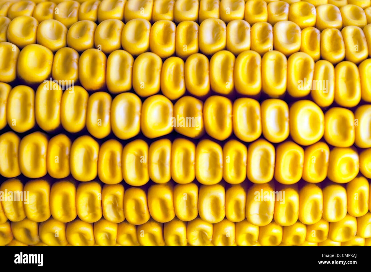 Corn texture macro shot Stock Photo