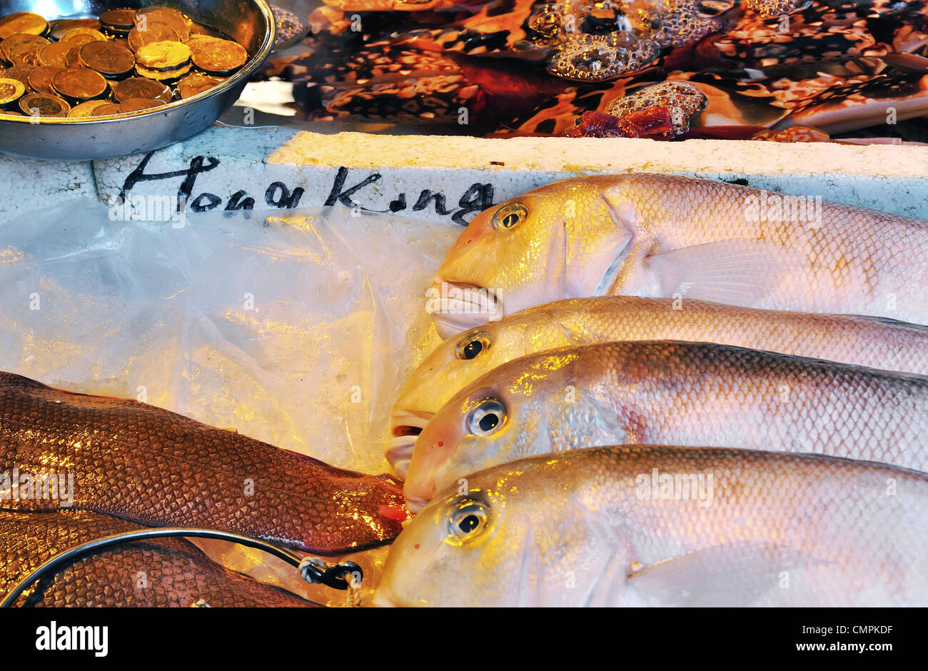 Fresh Fish at Hong Kong wet market Stock Photo
