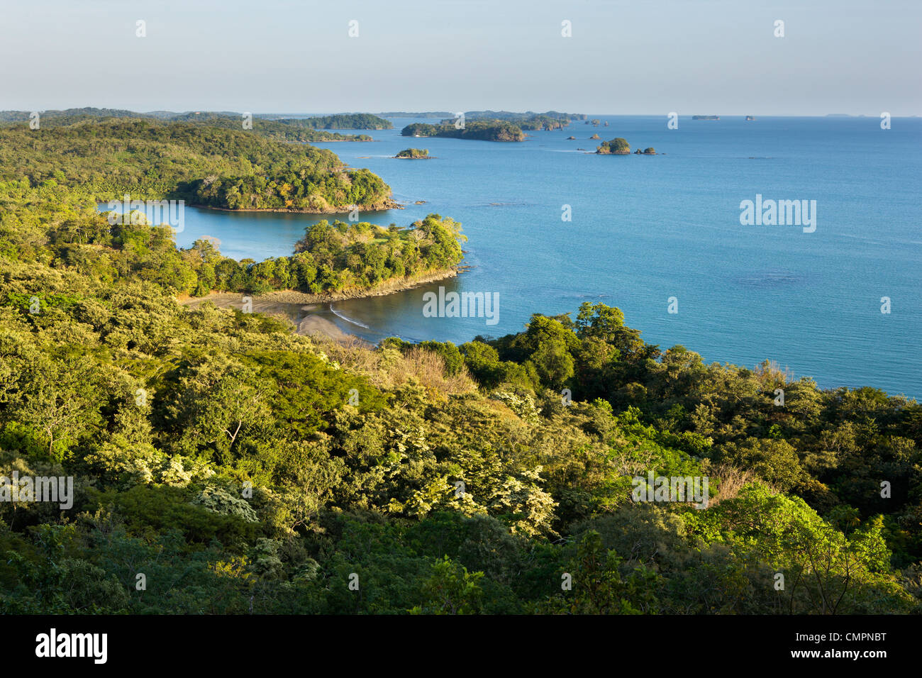 Thick vegetation on Boca Chica island in the Chiriqui Marine National Park, Panama, Central America Stock Photo