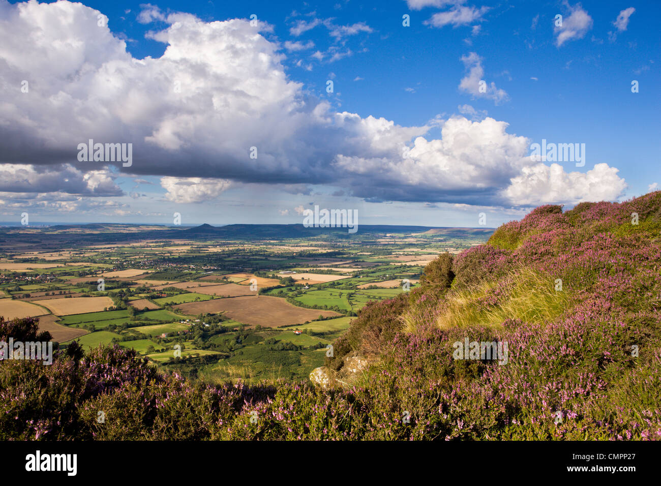 Looking towards Roseberry Topping, Yorkshire, England, United Kingdom, Europe Stock Photo