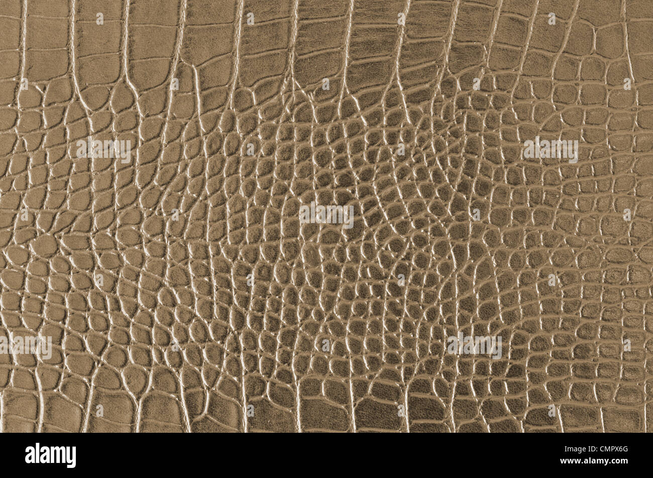 Crocodile Skin Pattern , Alligator skin seamless texture Stock Photo ...