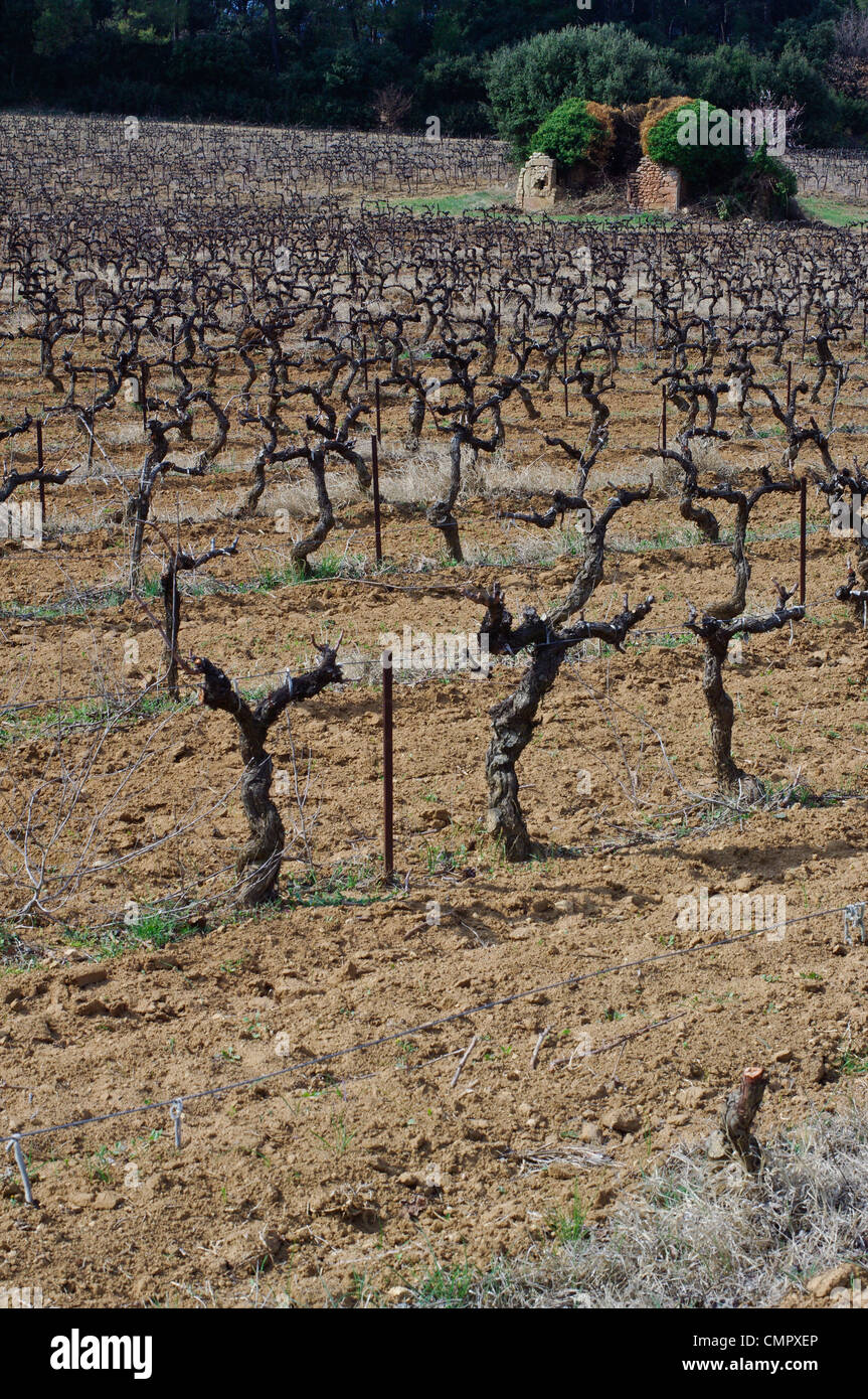 Spring In Provence High Resolution Stock Photography And Images Alamy