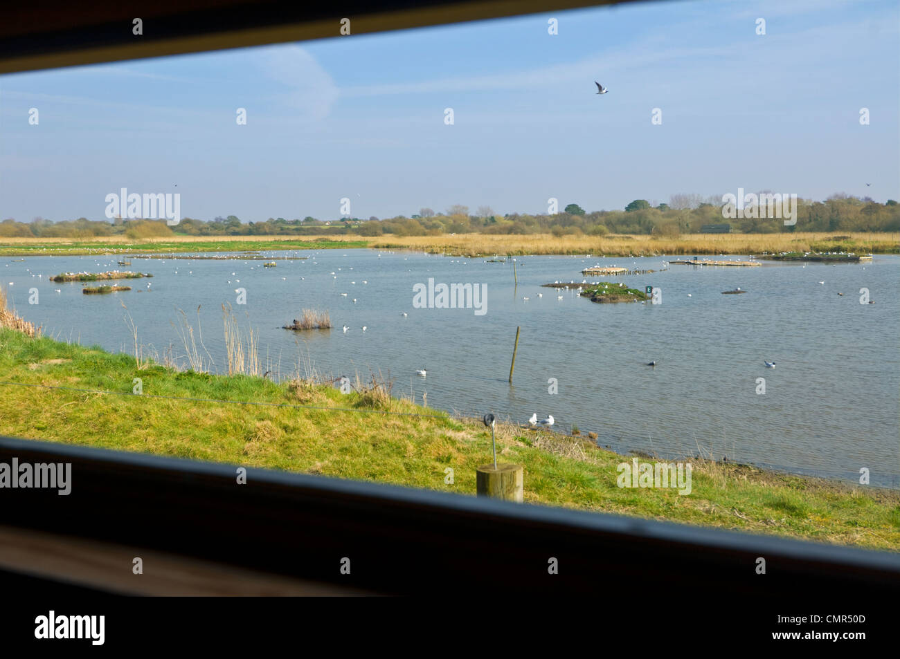 Titchfield Haven Nature Reserve seen from a Bird Hide, Hampshire, UK Stock Photo