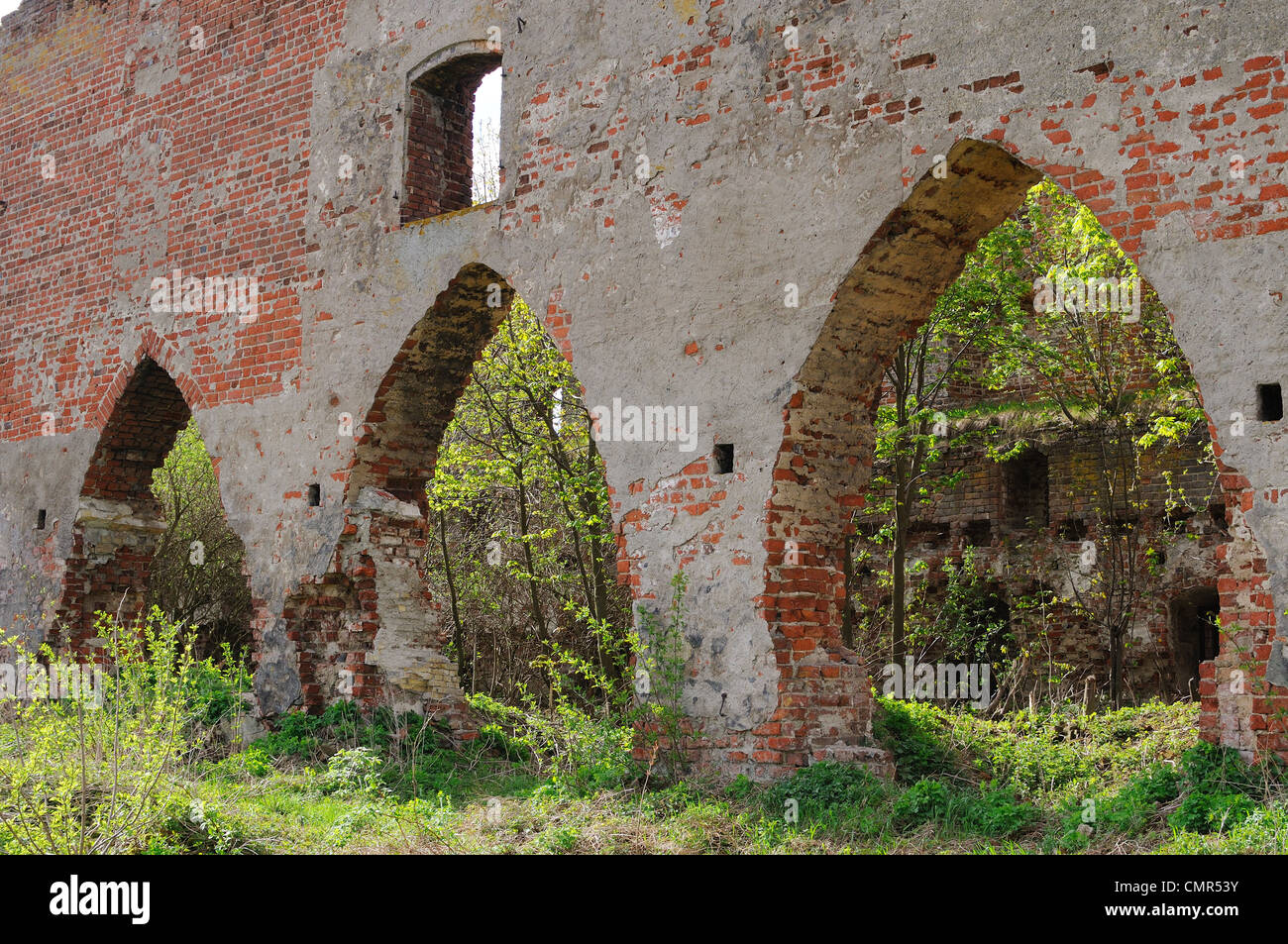 Ruins of Brandenburg castle in Ushakovo, Kaliningrad region. Russia Stock Photo