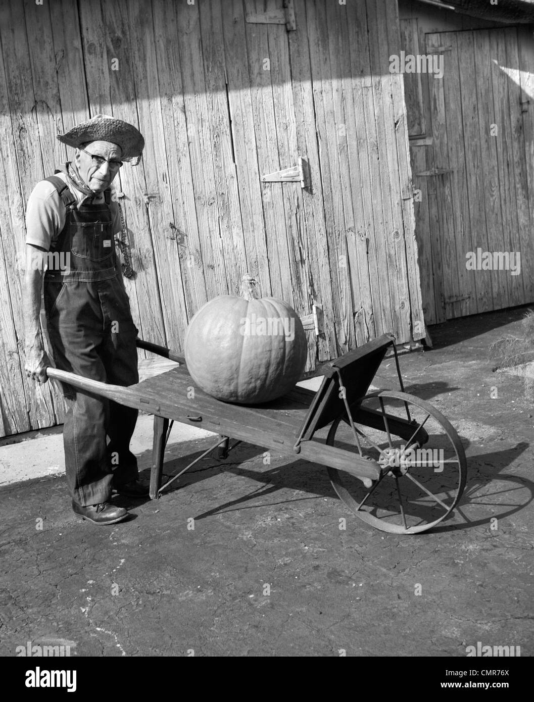 1970s 1980s ELDERLY FARMER IN OVERALLS & STRAW HAT LOOKING AT CAMERA PUSHING OLD WHEELBARROW WITH HUGE PUMPKIN ON IT Stock Photo
