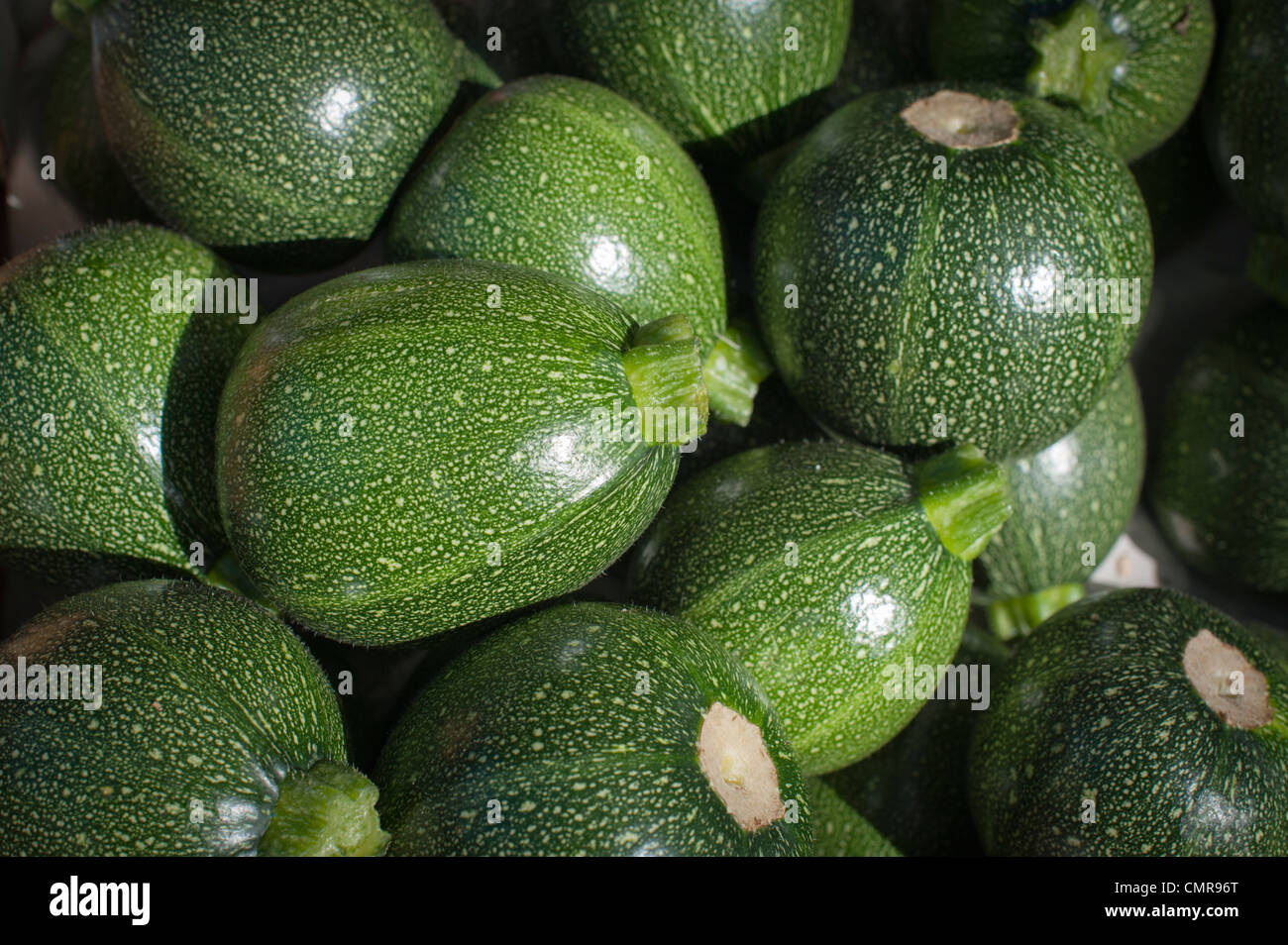 Round courgettes on a market stall Stock Photo