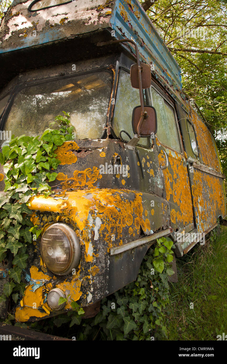 old derelict commer caravanette / motorhome covered in lichen and ivy. Stock Photo