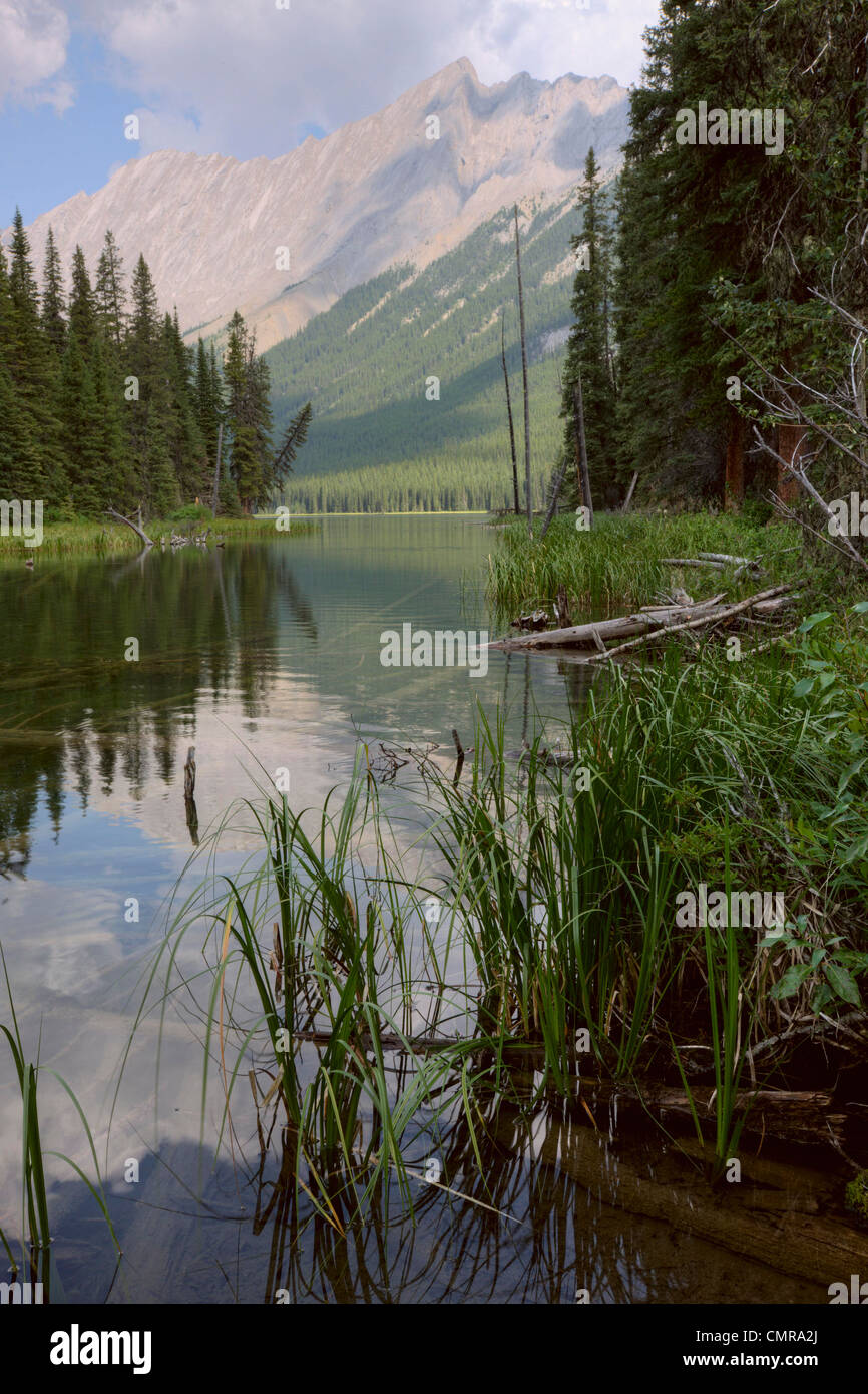 Reflections on Beaver Lake, Jasper National Park, Alberta Stock Photo
