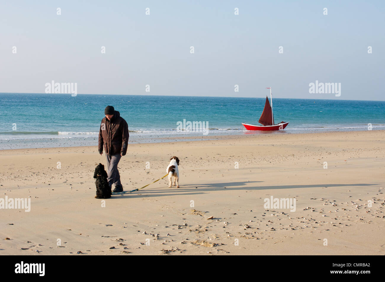 Man and 2 dogs on a sunny winter day at the beach in Normandy, France. MODEL RELEASE. Stock Photo