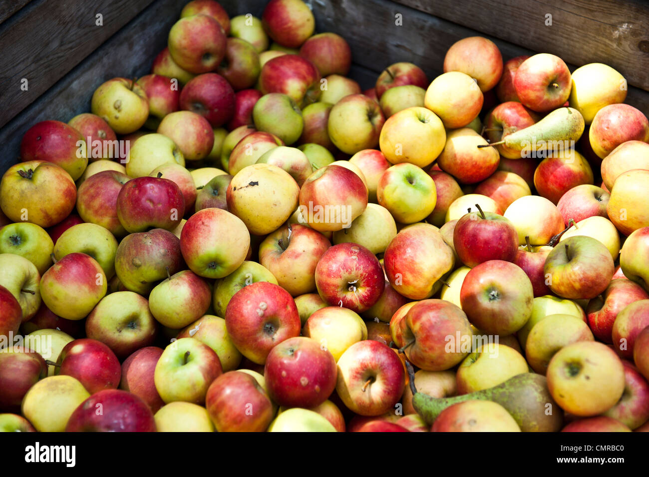 Apples and pears at a market. Stock Photo