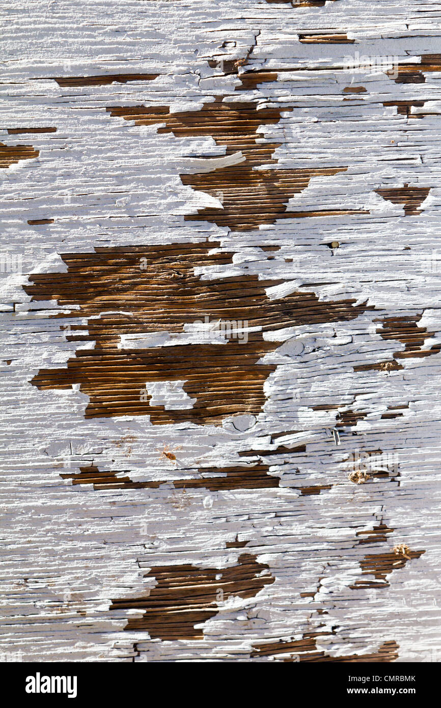 Old wood with peeling white paint texture background Stock Photo - Alamy