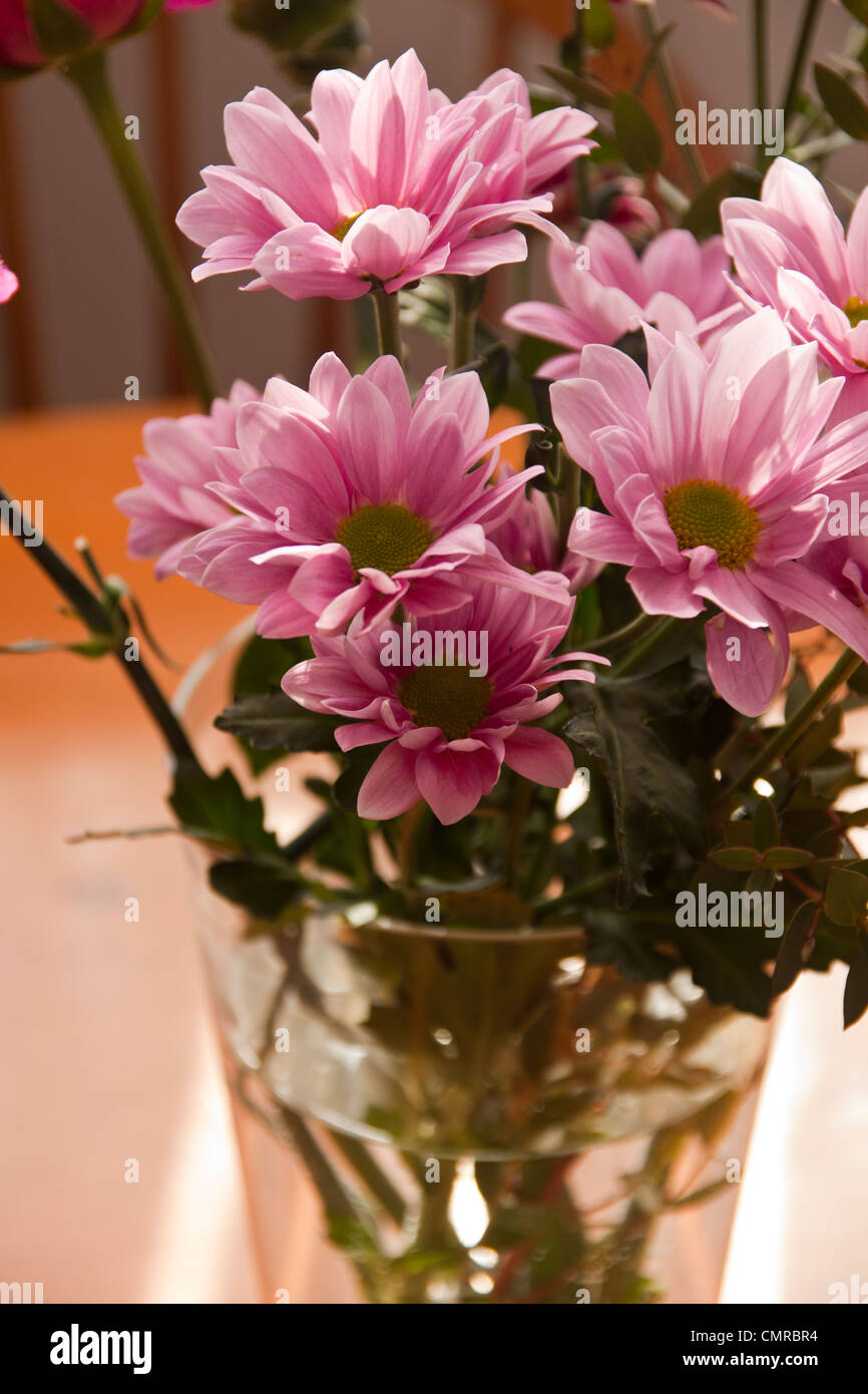 chrysanthemum cut flowers in vase Stock Photo Alamy