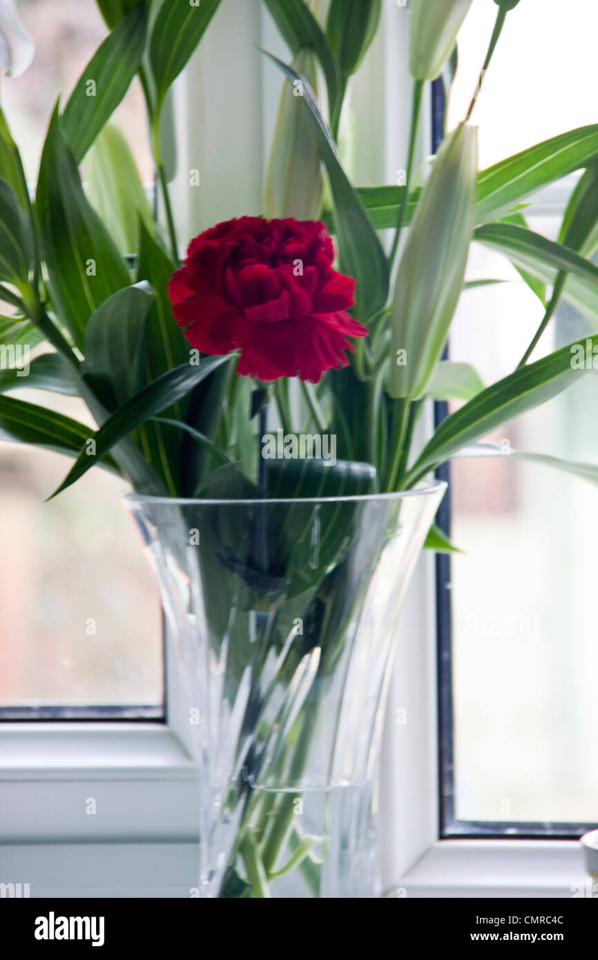 red carnation and white lily's in crystal vase on kitchen window sill