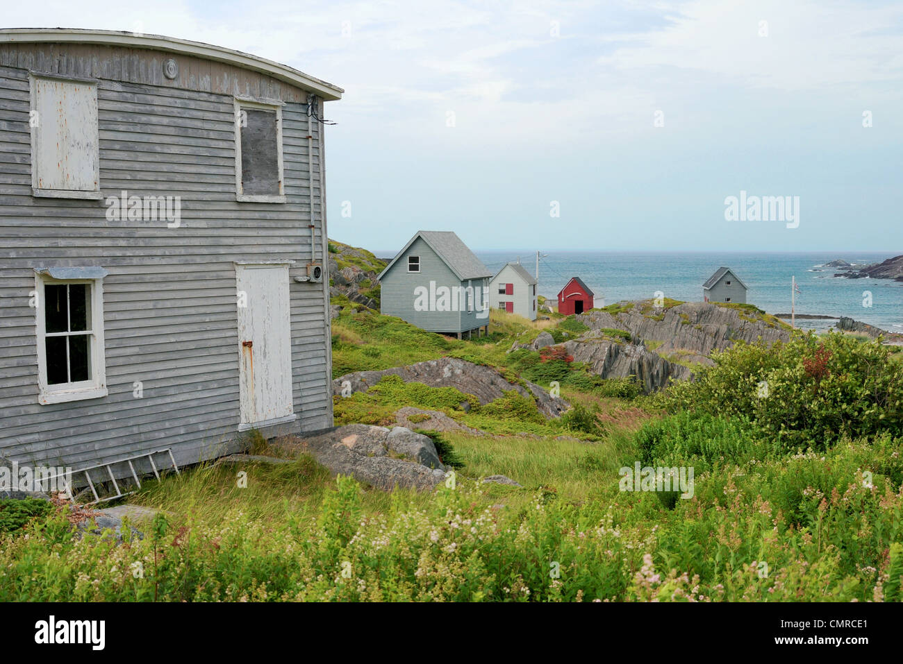 Houses in the town of Keels, Newfoundland Stock Photo Alamy