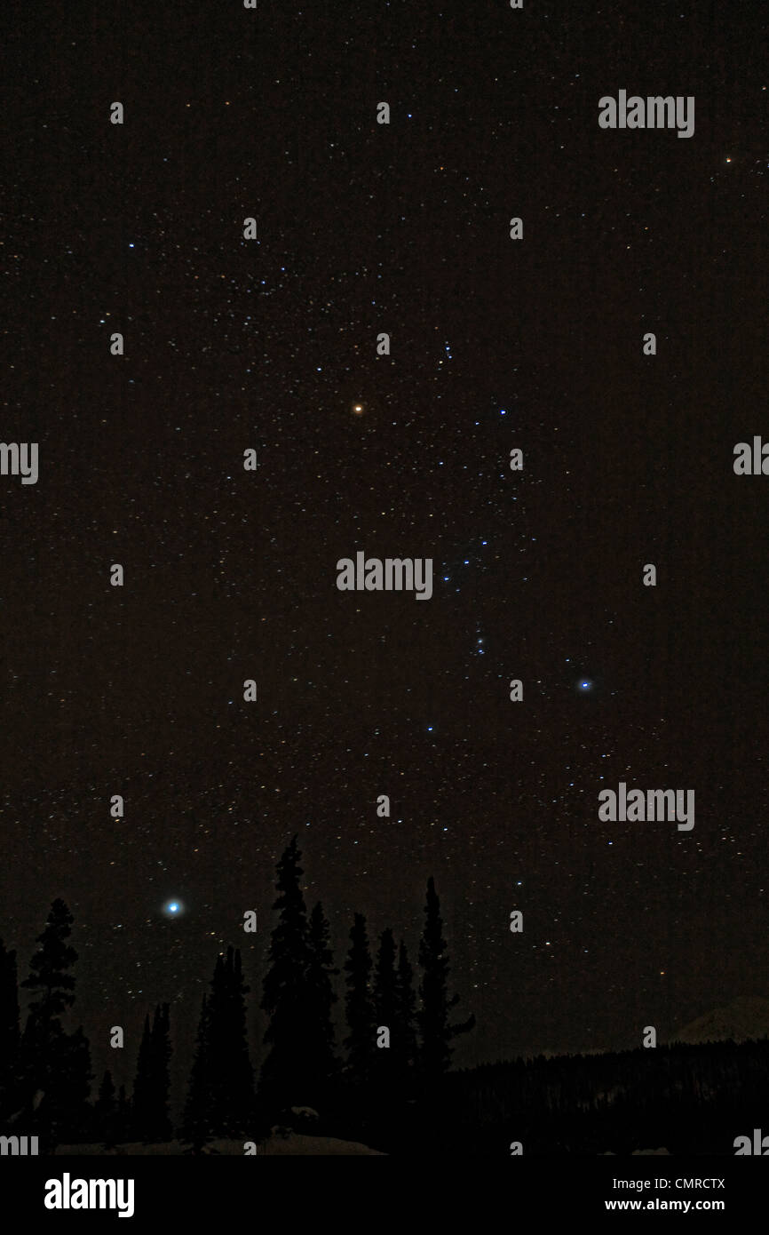 stars-with-the-constellation-orion-and-the-dog-star-sirius-near