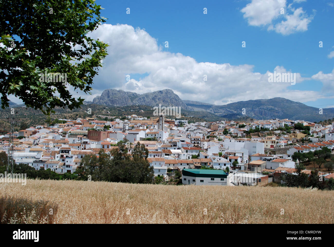 View of the town and surrounding countryside, Rio Gordo, Axarquia ...