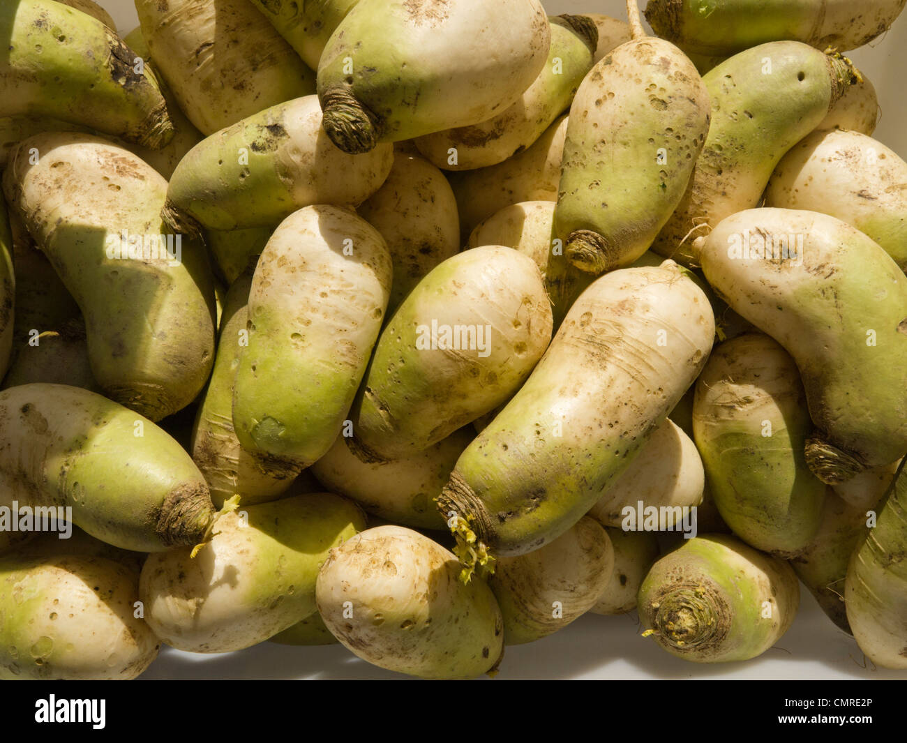 Moo Radishes for sale in a local market Stock Photo