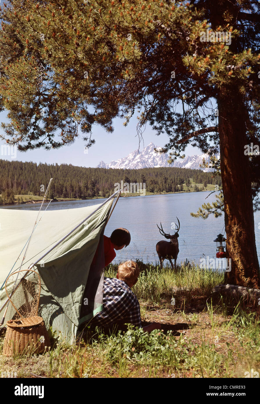 Deer camp tent discount