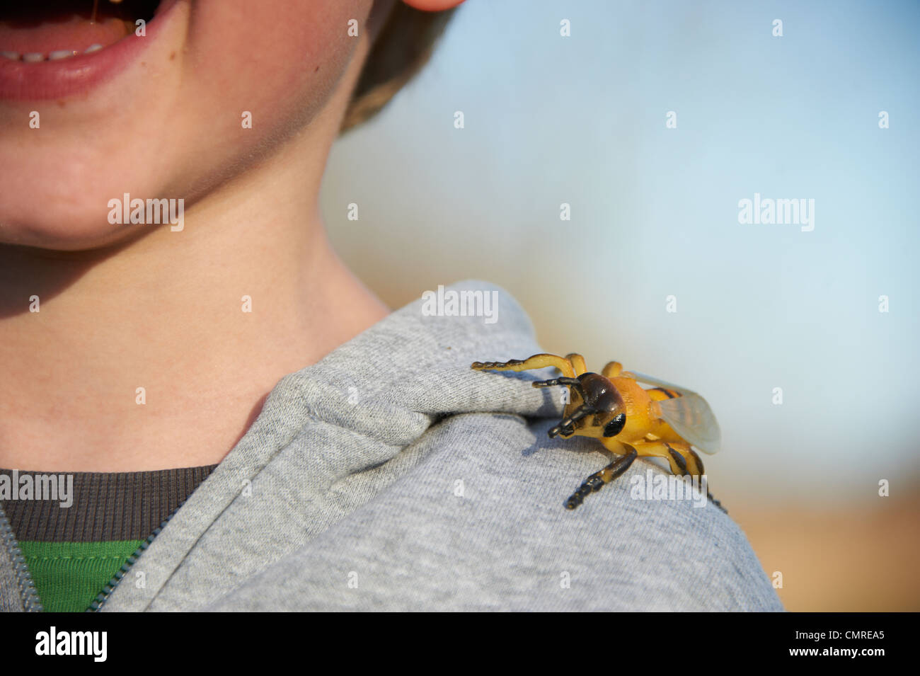 plastic wasp toy