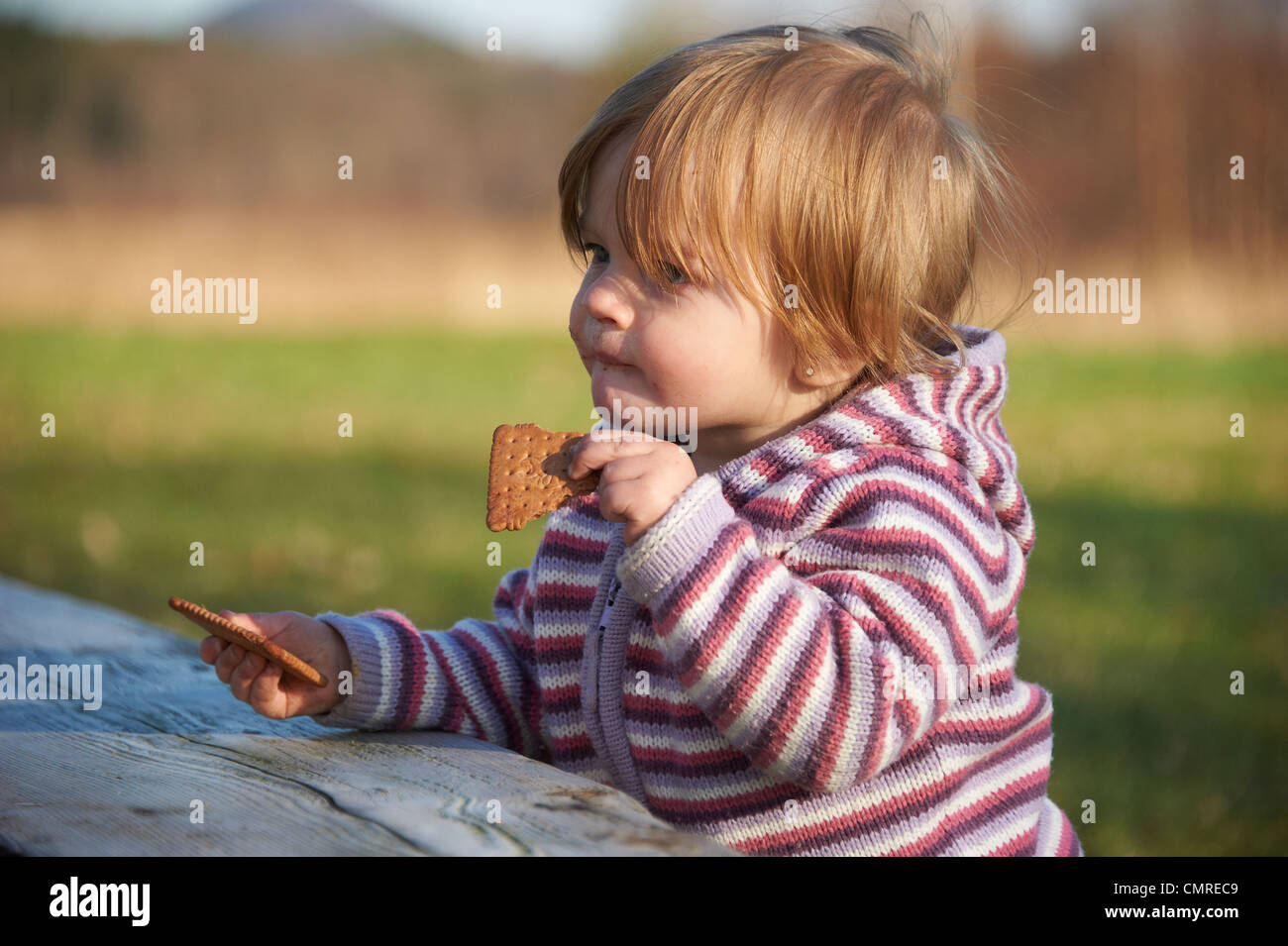 Toddler child baby girl eating cracker outside Stock Photo Alamy