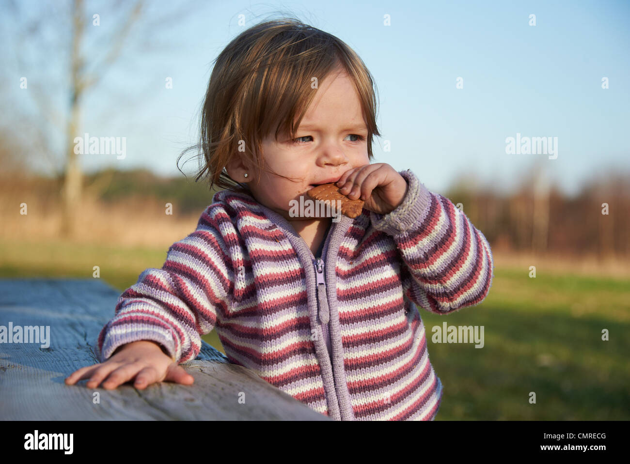 Toddler child baby girl eating cracker outside Stock Photo Alamy
