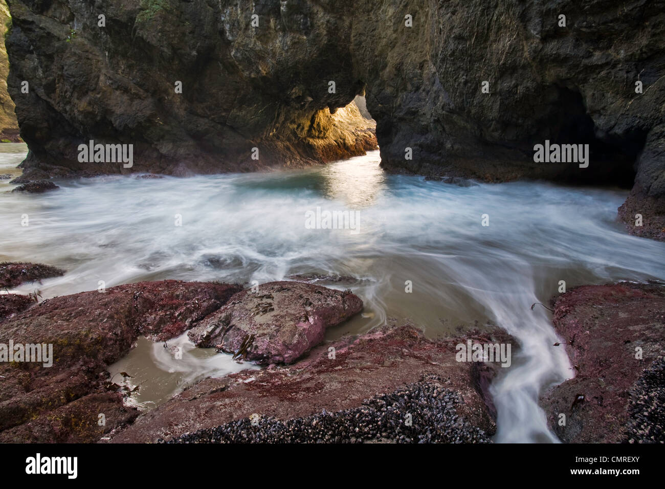 An arch and tunnel in a cove of Boardman State Park at low tide. Oregon. USA Stock Photo