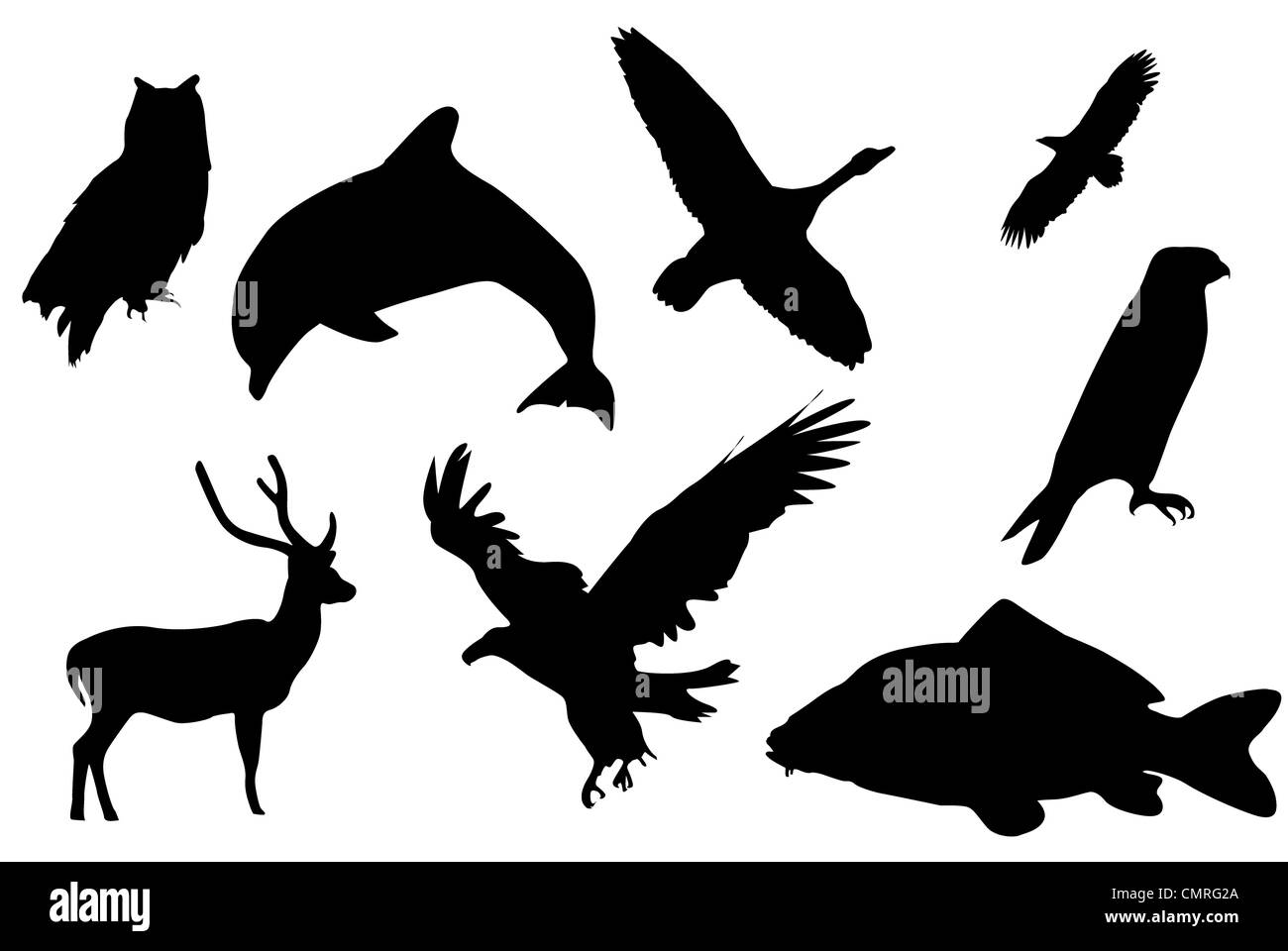 Eight black silhouettes of animals. Stock Photo