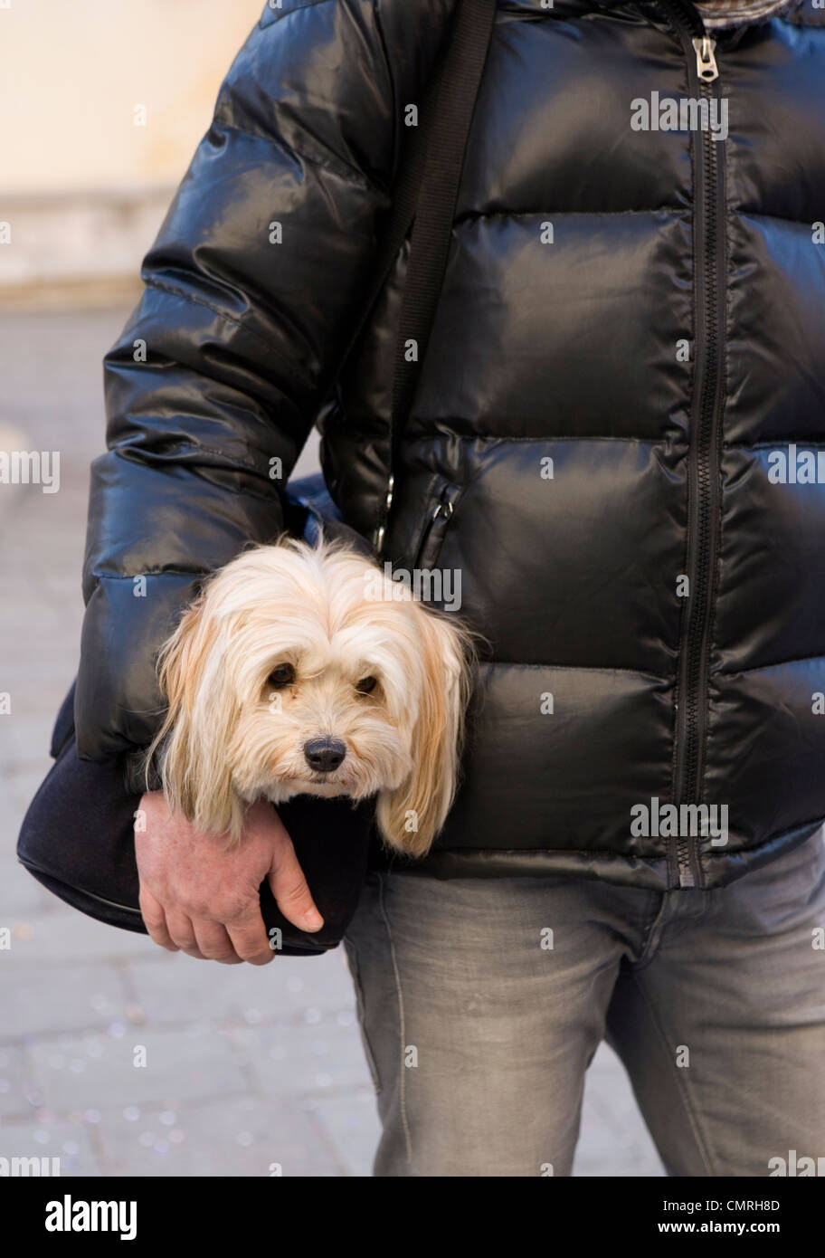 Shih Poo Shoulder Bag - Black Shih Poo Shoulder Bag - Black