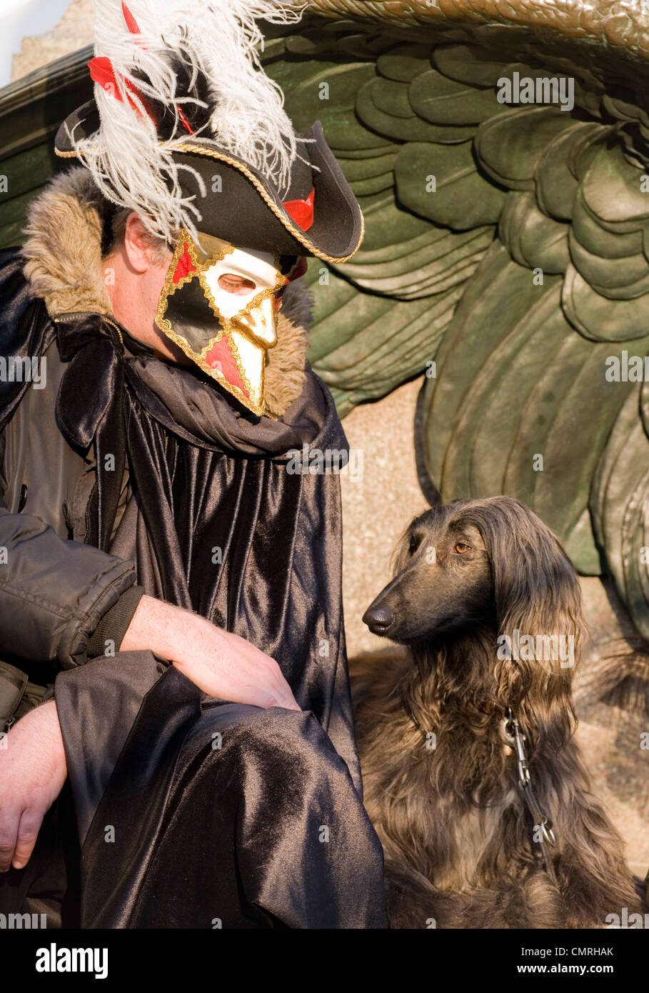 Afghan Hound Single adult with owner in Masquerade costume Venice, Italy Stock Photo