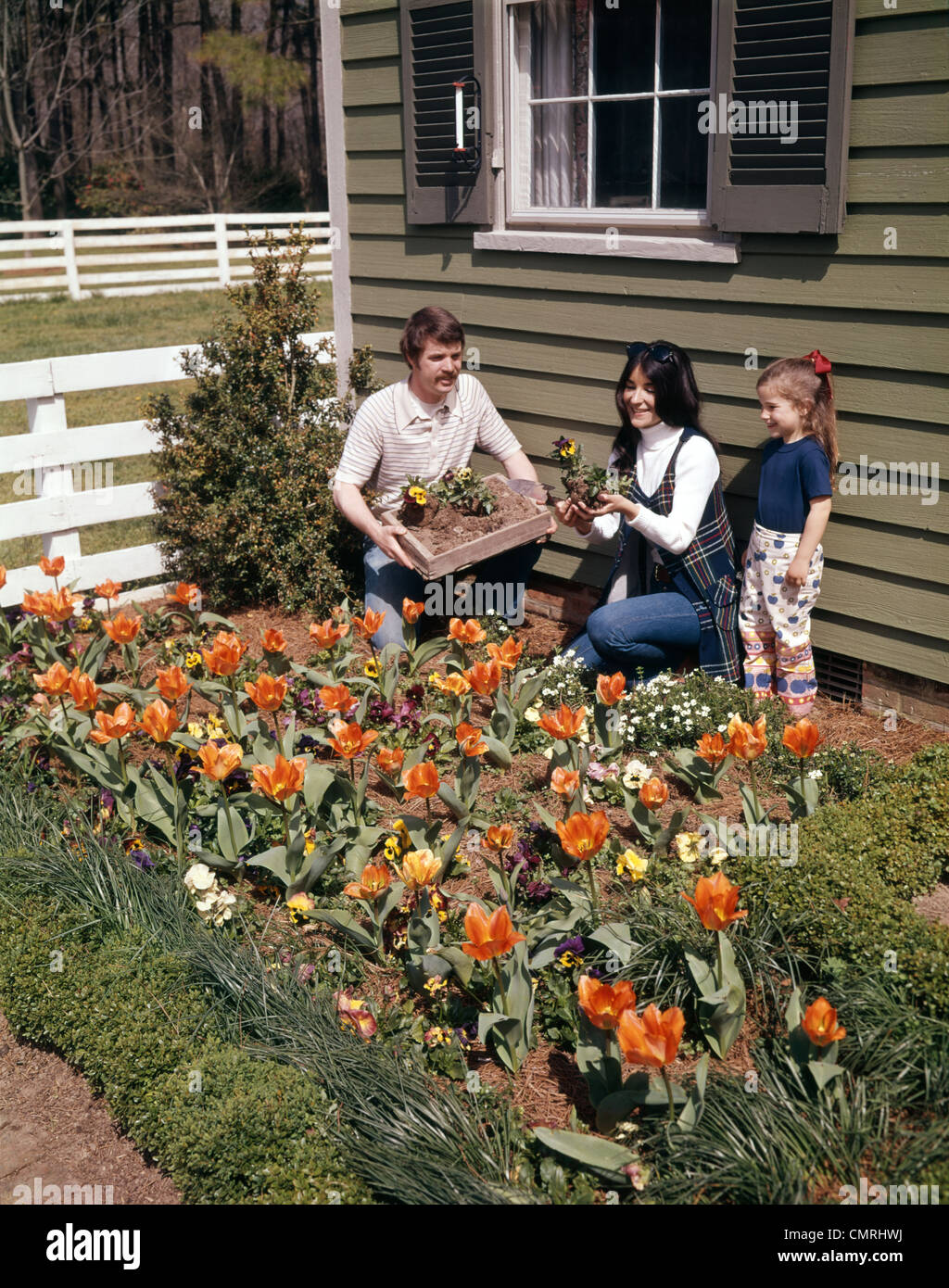 1970s MOTHER FATHER DAUGHTER PLANTING FLOWERS IN GARDEN Stock Photo Alamy