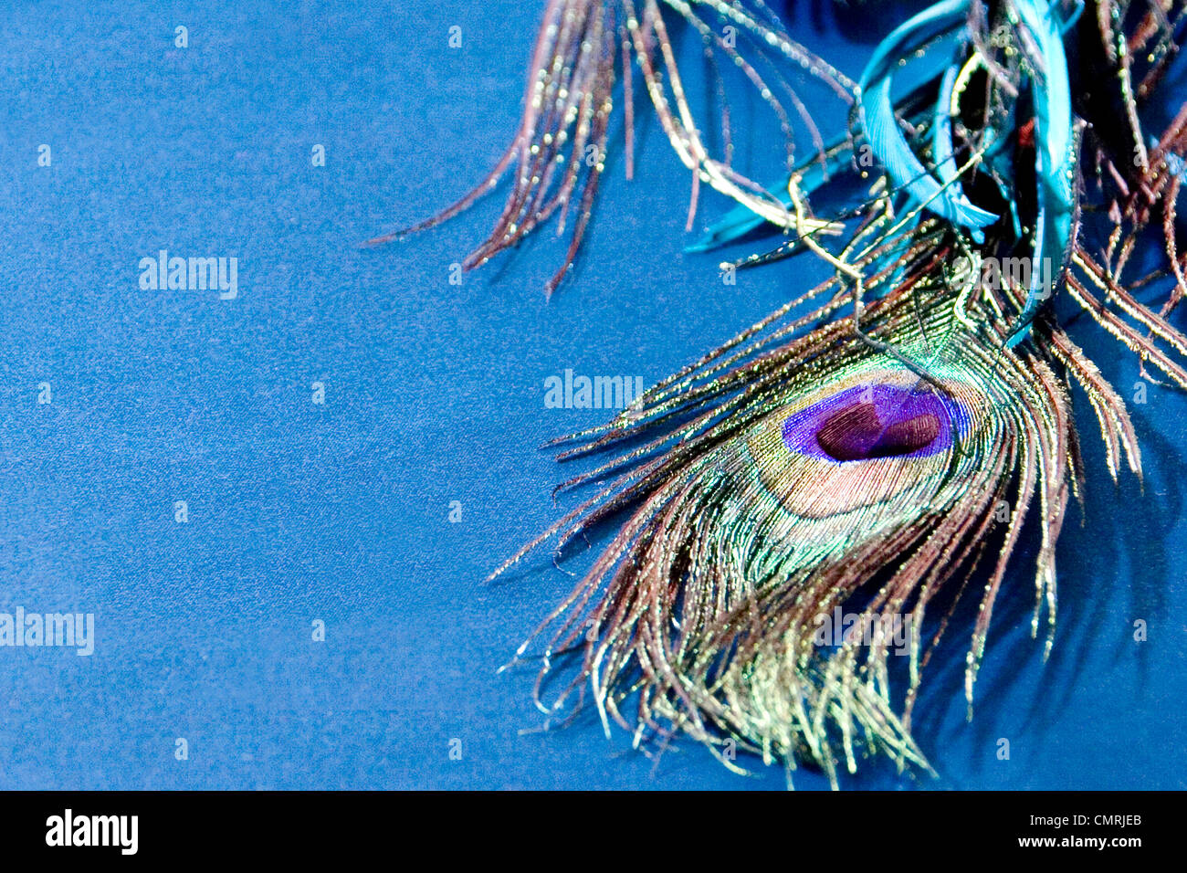 Peacock Feather on Satin Stock Photo