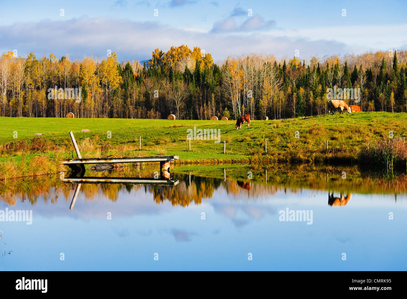 Mansonville quebec hires stock photography and images Alamy