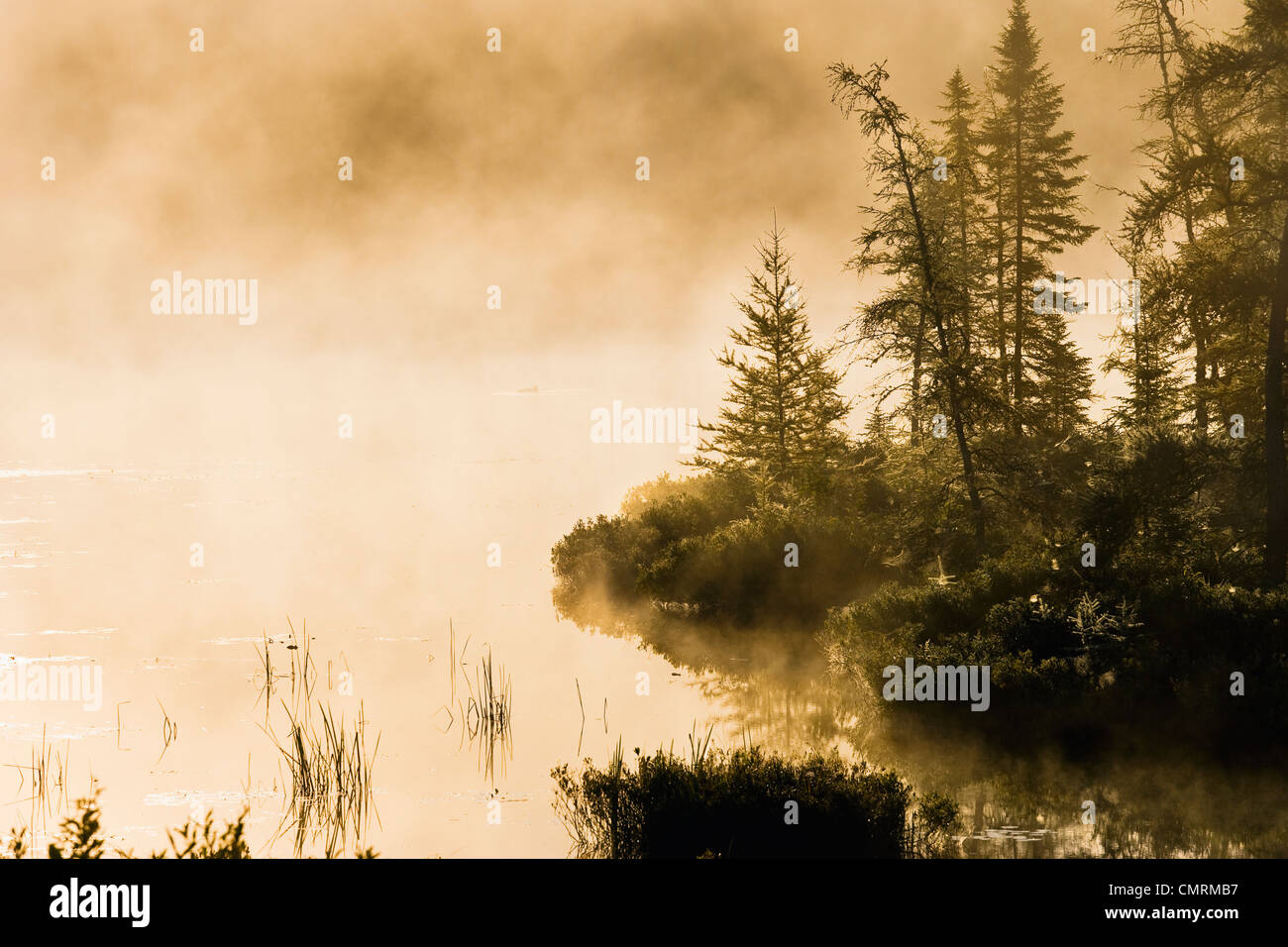 Fog over Lac Roland at sunrise, Reserve faunique La Verendrye, Outaouais region, Quebec Stock Photo