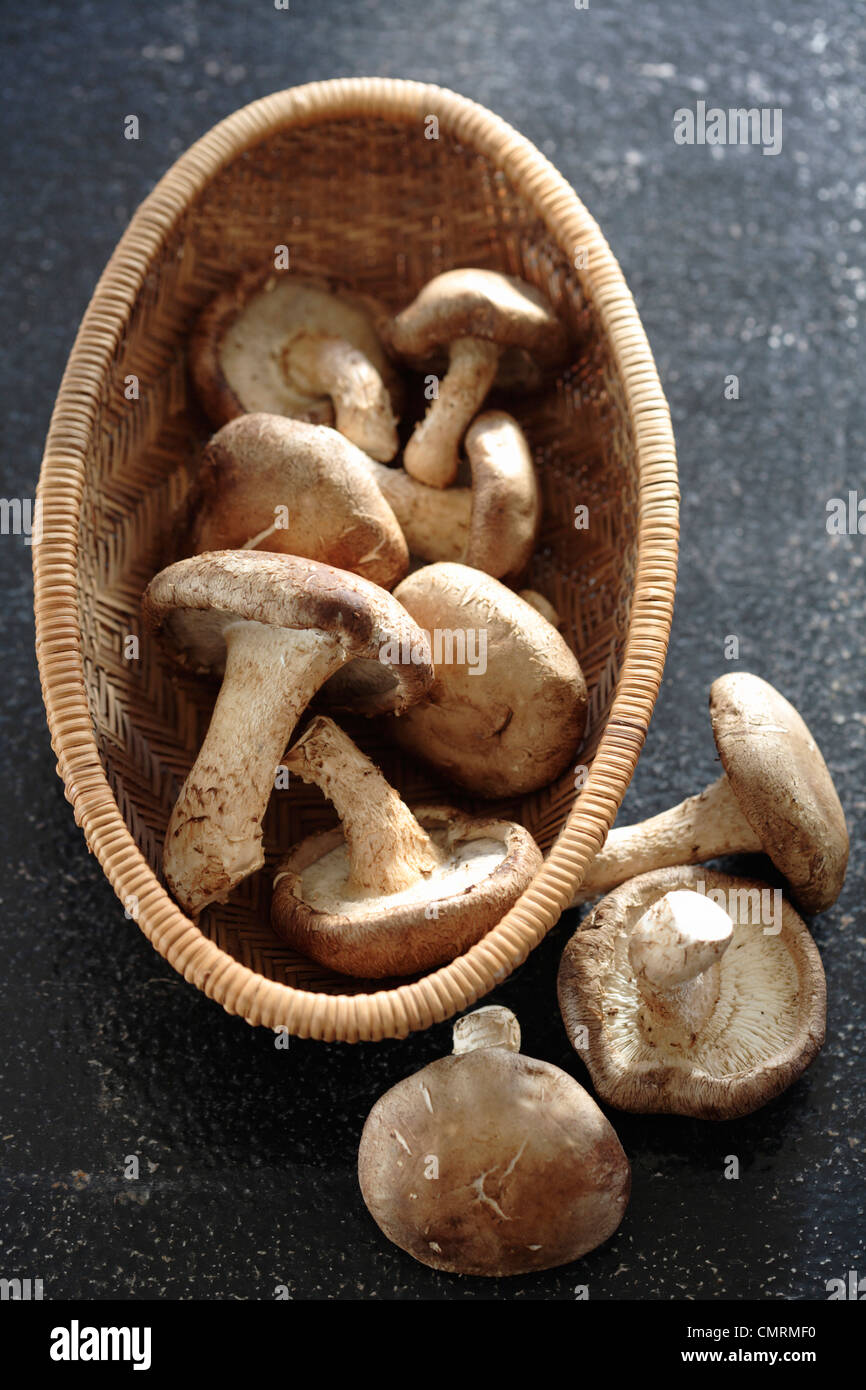 Mushrooms in basket Stock Photo