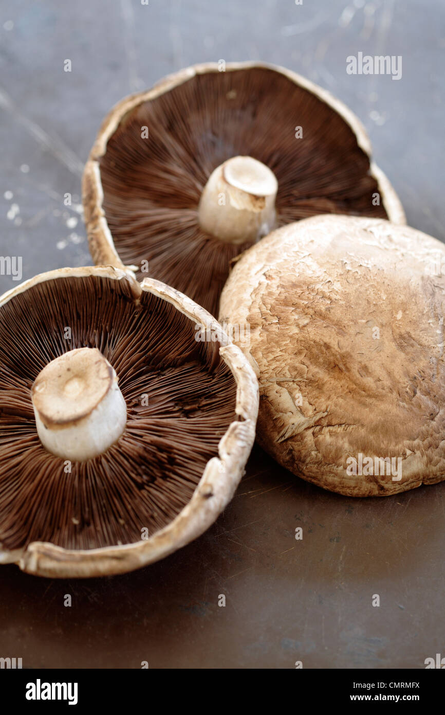 Shitake mushroom caps Stock Photo