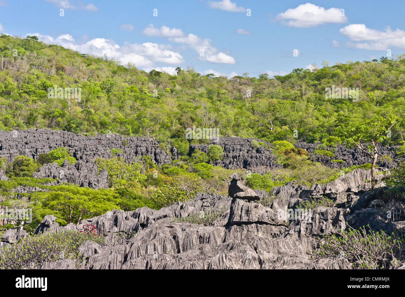 The Tsingy of Ankarana, northern Madagascar Stock Photo