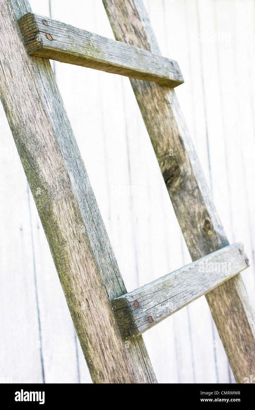 Wooden Ladder Stock Photo