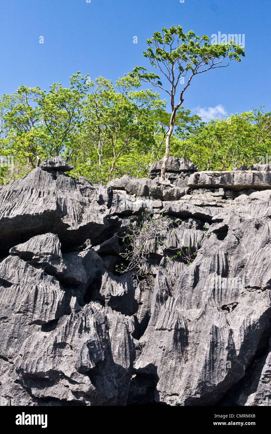 The Tsingy of Ankarana, northern Madagascar Stock Photo